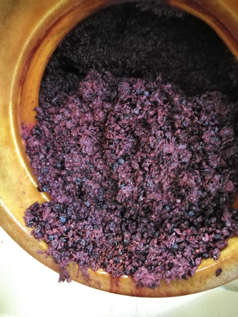 Barbera del Monferrato during racking at Chieliso winery