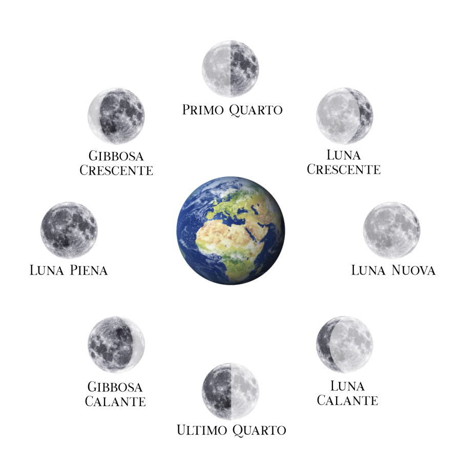 Moon Cycle